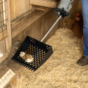 2-in-1 Chicken Poop Scoop & Rake